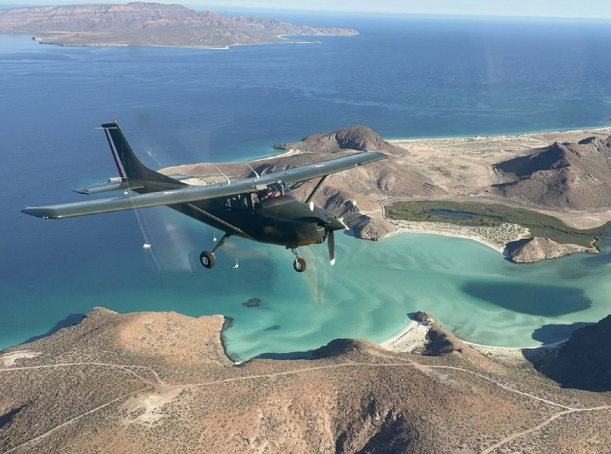 Furiosa Fumigación a Trump